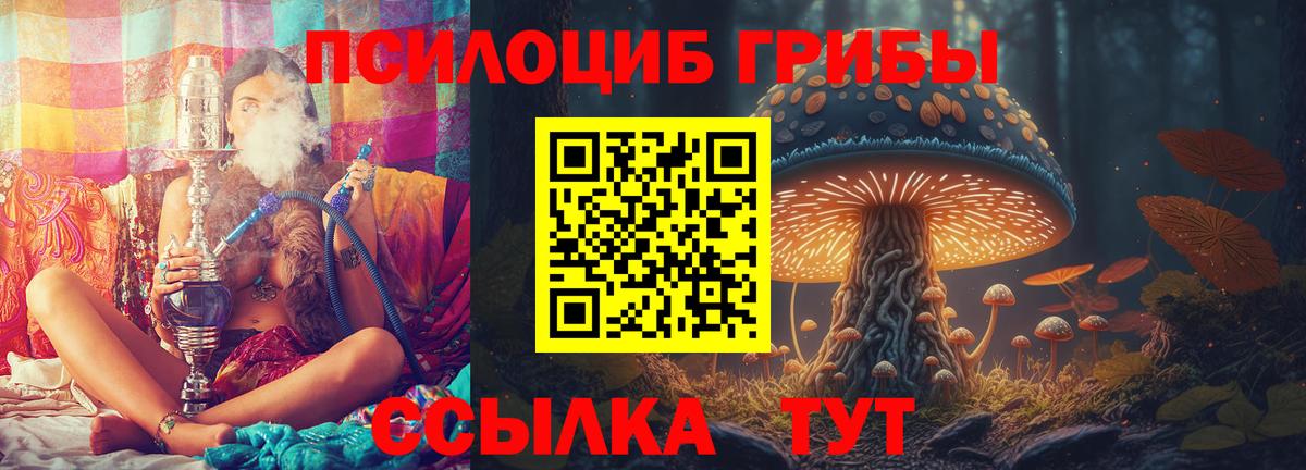 Псилоцибиновые грибы MAGIC MUSHROOMS Горно-Алтайск
